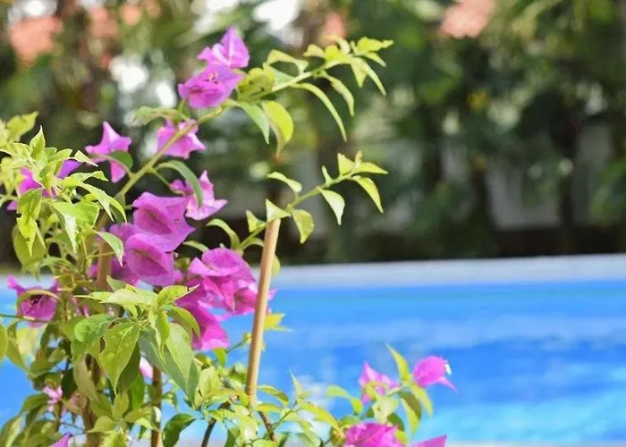 In With Balcony, Air Conditioning, Wifi 819-2 Lejlighed