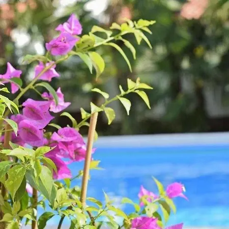In With Balcony, Air Conditioning, Wifi 819-2 Appartement
